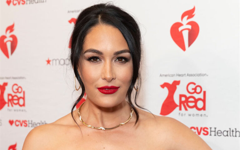 brie bella's husband