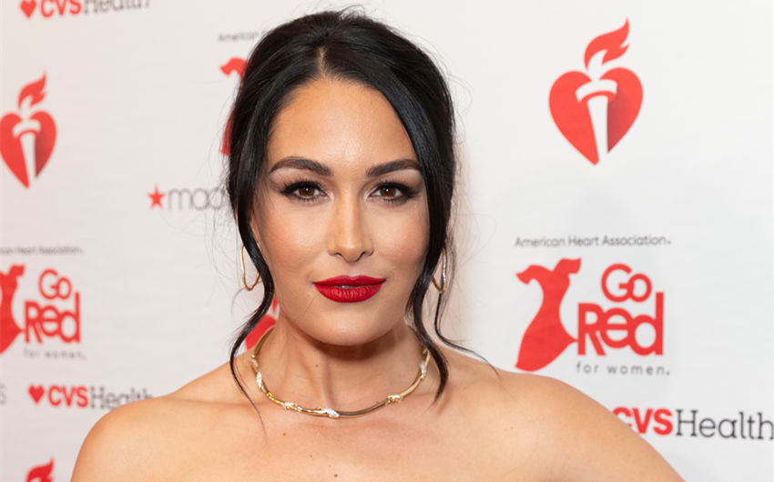 brie bella's husband